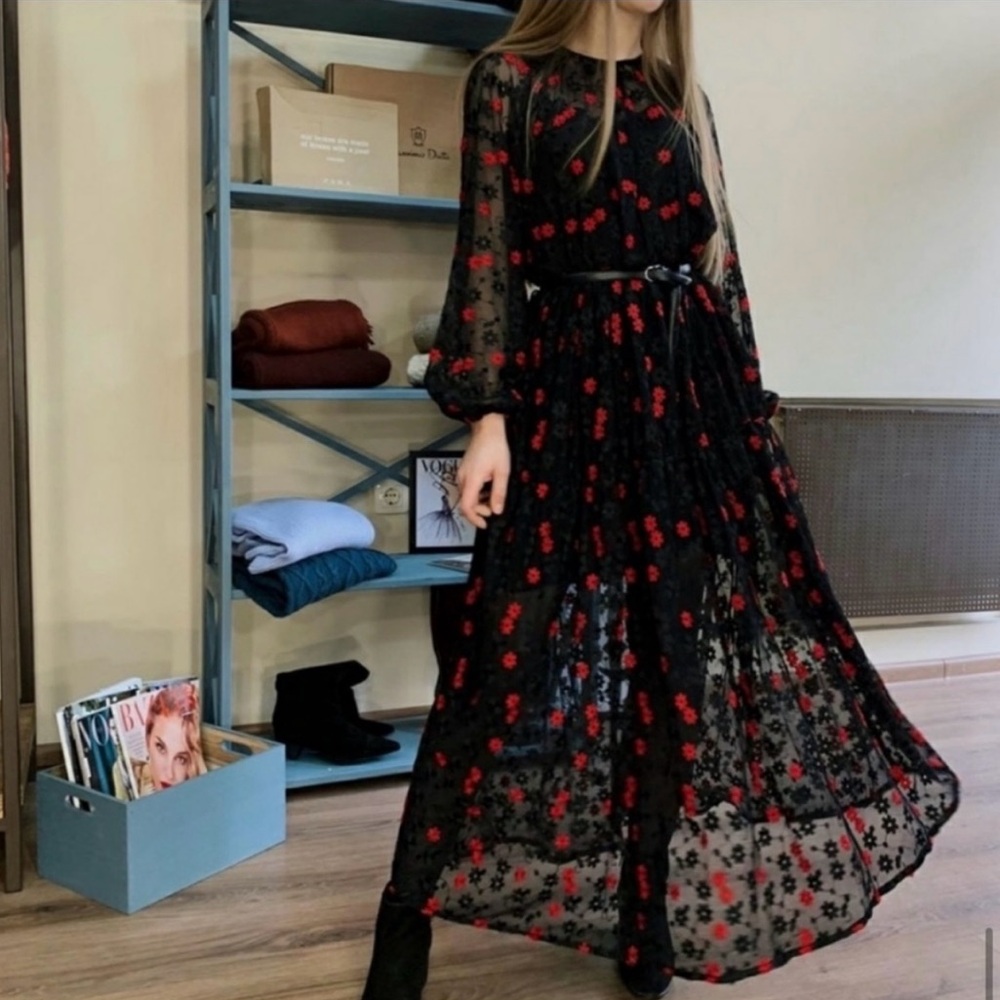 Zara sheer long sleeve maxi dress